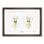 Love Heart Squid by Carl Chun - Framed Print-55617524-55617526