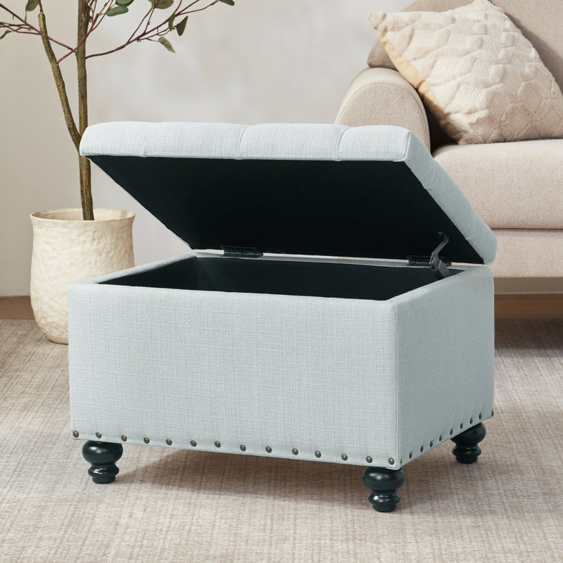 Dhiren 23.6" W Rectangle Upholstered Storage Ottoman, Jensen Light Blue Performance
