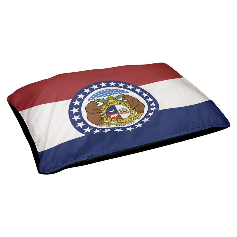 Coussin de concepteur missouri flag Burien, L 42 po x l 52 po, Noir