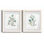 Linen Botanical III - ensemble de 2 reproductions d'art-1345068799-1345068796-1345068775