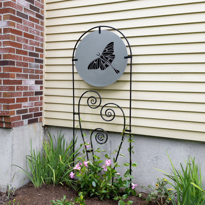 Luna Trellis