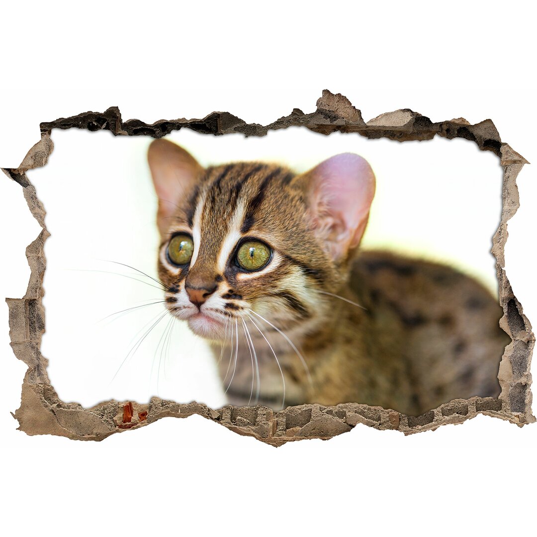 Niedliche marmorierte Katze Wandsticker