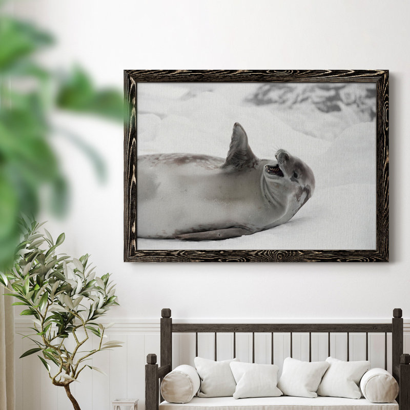 Laughing Seal - photographie encadrée sur toile, H 31,5 po x l 23,5 po x P 1,5 po, Noir