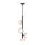 Ume 4 - Light Cluster Novelty Pendant-78676440-78676445