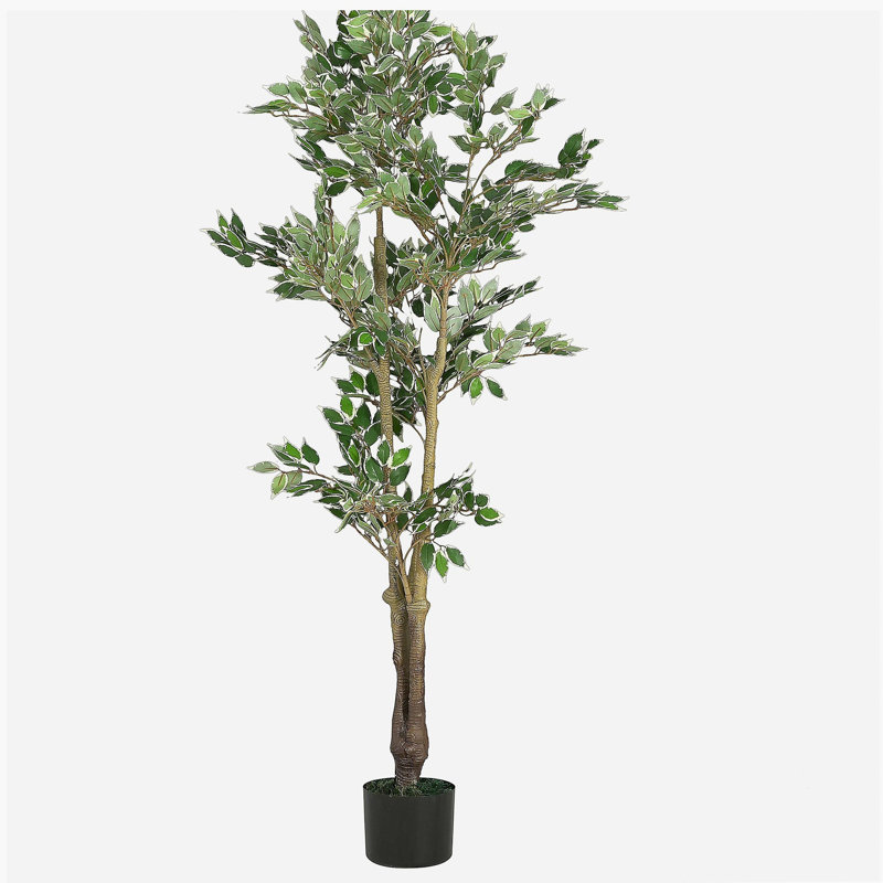 69" Artificial Ficus Tree with Black Plastic Pot