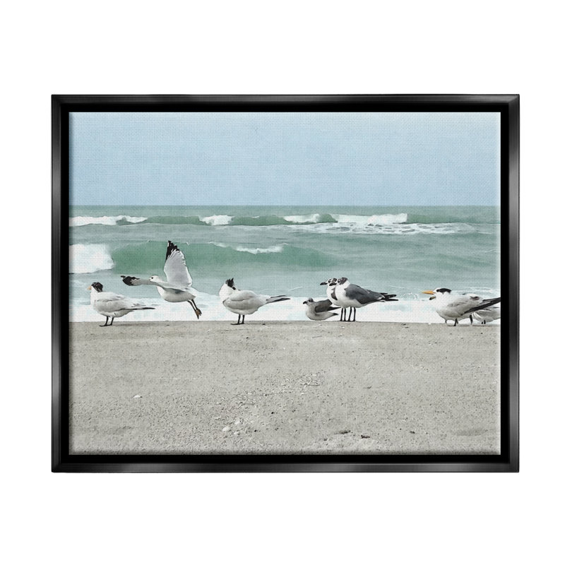 Dovecove, Cadre flottant noir de jais, H 17 po x l 21 po x P 1,7 po