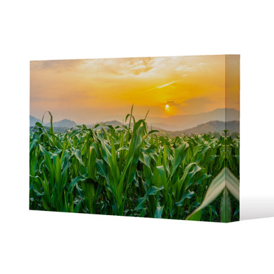 No Title by Andrew Lee - Wrapped Canvas Print