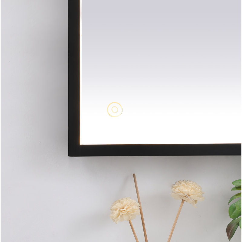 Miroir Piche Inch avec température de couleur réglable 3000K / 4200K / 6400K, Noir, 36 po x 60 po