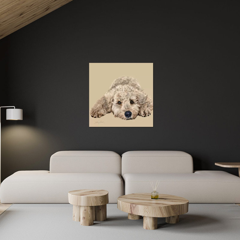 Labradoodle, impression sur verre acrylique, H 36 po x l 36 po x P 0,25 po