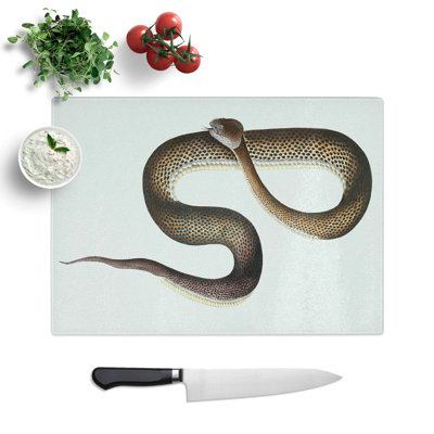 Tempered Glass Snake Illustration Chopping Board