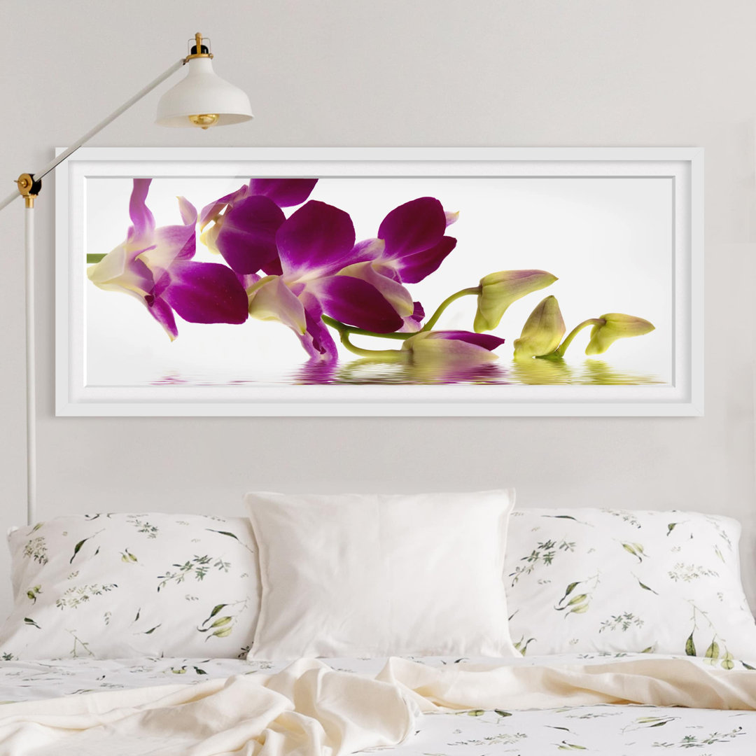 Gerahmtes Poster Pink Orchid Waters