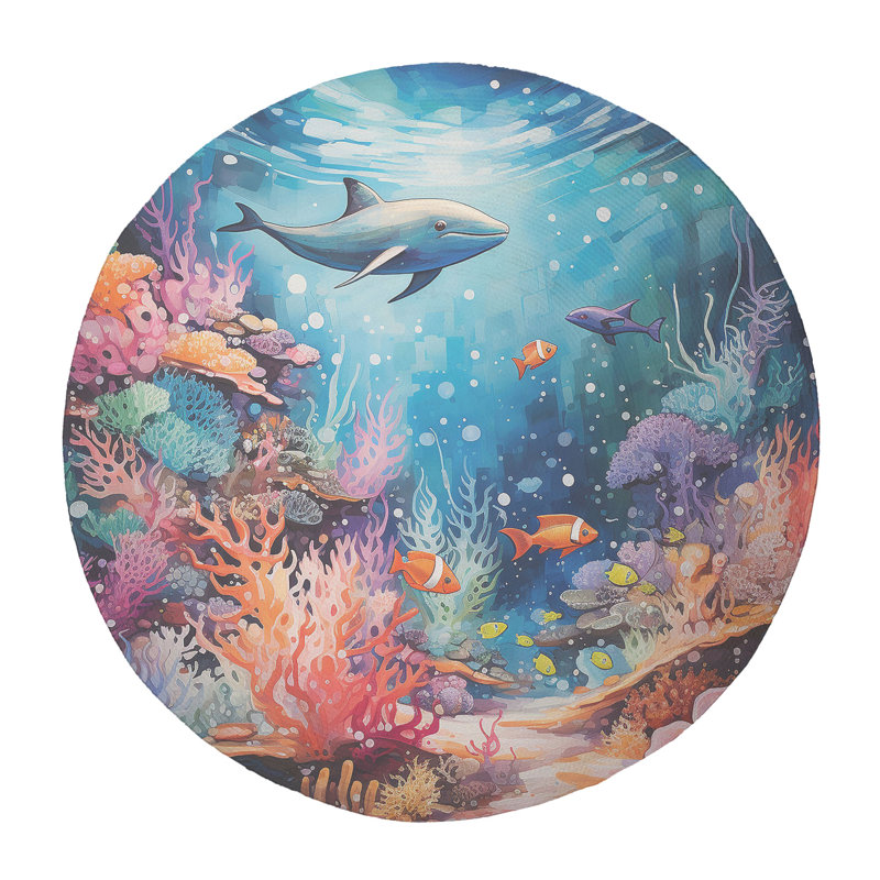Cookston, Round 5'