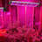 Zhu Grow Light-88957717