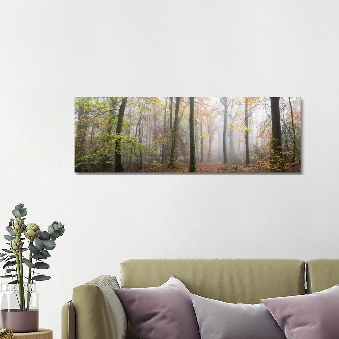 Panoramaspaziergang im Wald von Philippe Manguin - Galerie-verpackte Leinwand Giclée