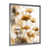 Silver Picture Framed