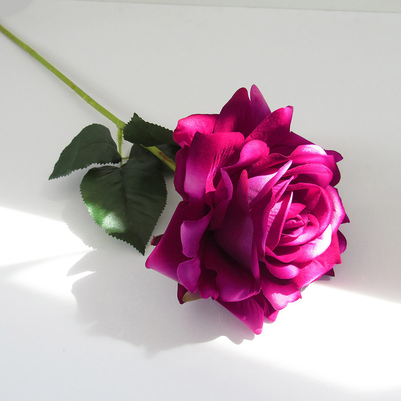 Grandes tiges roses en velours, Beauté rose