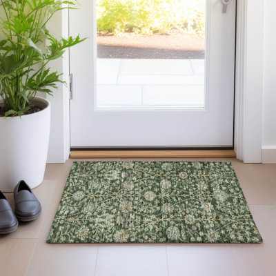 Tapis vert intérieur / extérieur lavable à la machine Chayden ACN1087