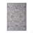 6X9 Oriental Area Rug Stain Resistant, Non-Shedding, Friendly For Living Room, Bedroom, Dining Room And High-Traffic Areas-884644090
