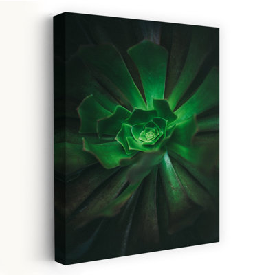 Contemporary Art Abstract Contemporary Cactus Succulent Nature Landscape Art 1 Piece Wrapped Canvas Wall Art