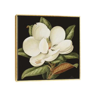 " Magnolia Grandiflora, 2003 " by Jenny Barron Painting Print