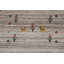 Tapis oriental petits animaux Gabbeh 8