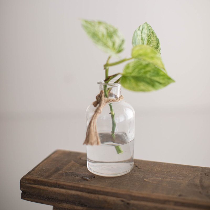 Faer Glass Decorative Bottle