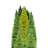 Tree Group Forest 80 Inch Cardboard Cutout Standee Standup