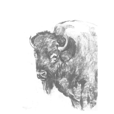Charcoal Grey Bison - Painting Print