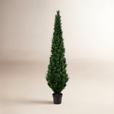 Yarbro Cedar Topiary in Pot