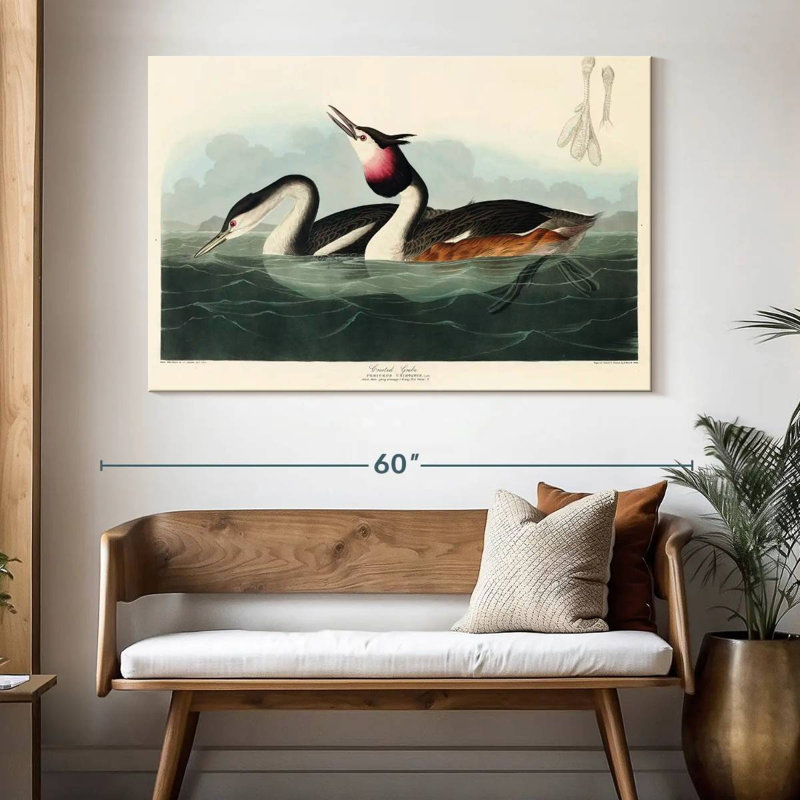 Brampt Crested Grebe, 34" H x 51" W