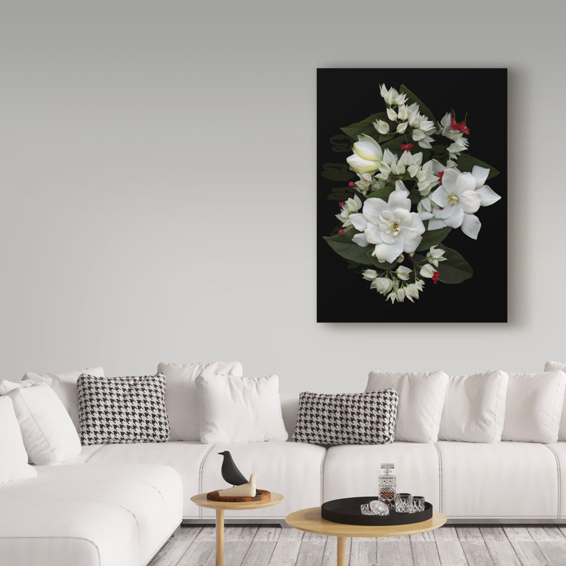 Impression sur toile tendue Dosta, H 32 po x l 24 po x P 2 po