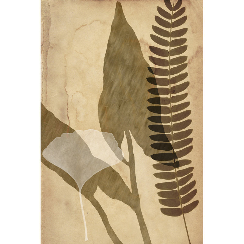 Pressed Leaf Assemblage IV by Vision Studio - Wrapped Canvas Painting, 46cm H x 30cm W x 3.8cm D