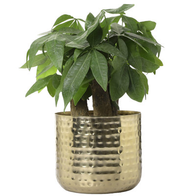 Handmade Metal Pot Planter