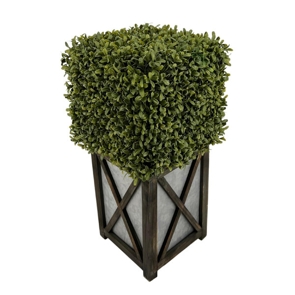 Primrue 40'' Faux Moss Topiary in Planter