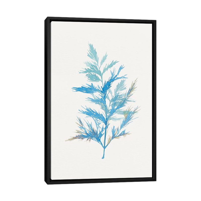 « fantaisiste botanique i », impression sur toile, H 26 po x l 18 po x P 1,5 po, Toile avec cadre noir, Pas de tapis