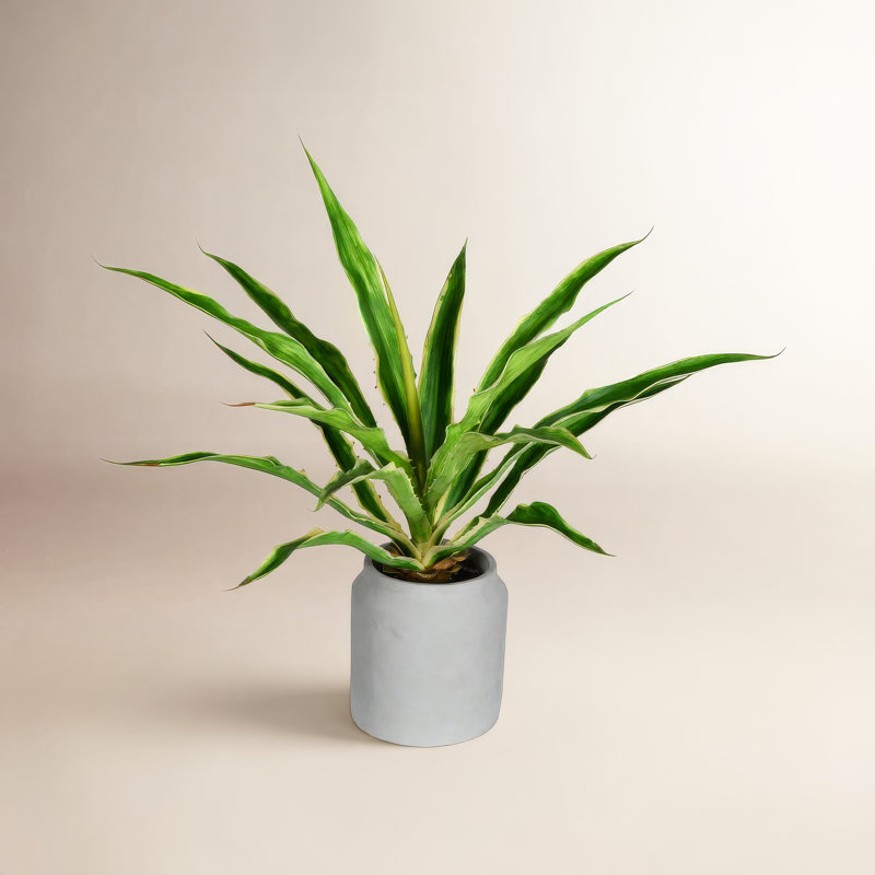 23" Artificial Yucca Plant in Vase