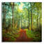 «Sunday Morning Walk» par Dirk Wustenhagen, art mural en verre acrylique-1698938753