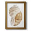 Coquillage I - reproduction d'art sur toile-339200035