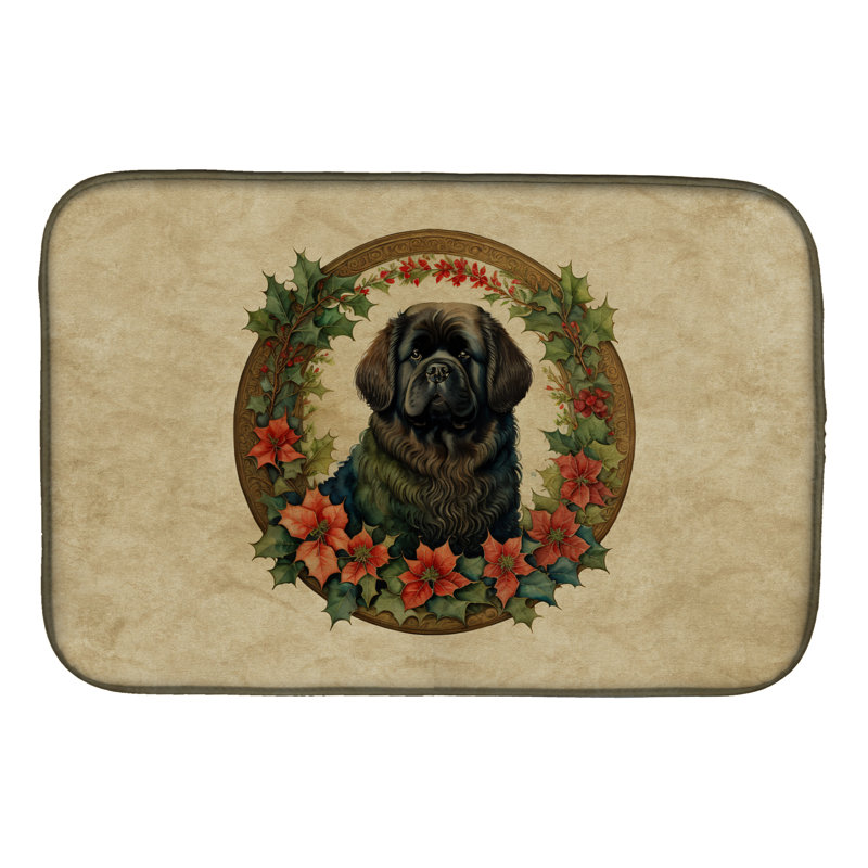 Drying Mat