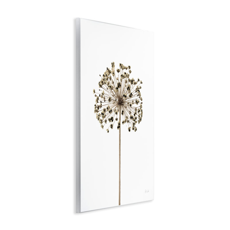 «Minimal Allium Bud» par Deborah Revell, H 15 po x l 10 po