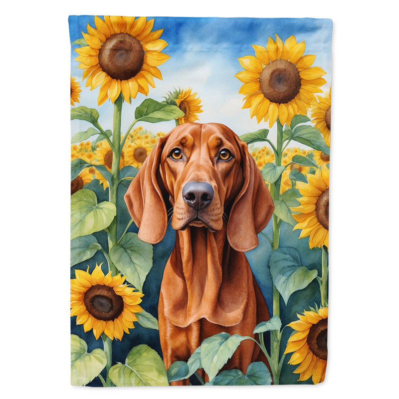 Lévrier irlandais dans le drapeau du jardin de tournesols, Redbone Coonhound