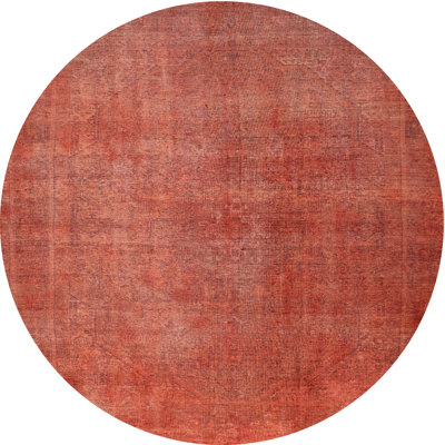 Adrainne Oriental Indoor Rug