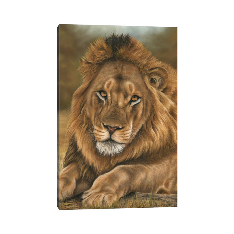 Lion 1 Piece Wrapped Canvas Painting, 20.32 cm H x 30.48 cm W