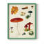 Reproduction encadrée champignon Mushroom Species-516665809-516665811