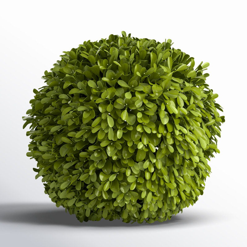 Preserved Greens Topiary, Hedge Plant in, 12" H x 12" W x 12" D