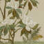 Tan Chinoiserie Painting by Laurel-Dawn Latshaw-999971180
