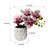 Mini Orchid Flower In Ceramic Pots