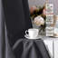 Blackout Curtain Pair