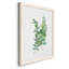 Eucalyptus I-Premium, toile encadrée - prête à être accrochée-61339033-61339030