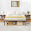 Degennaro 14-845480625